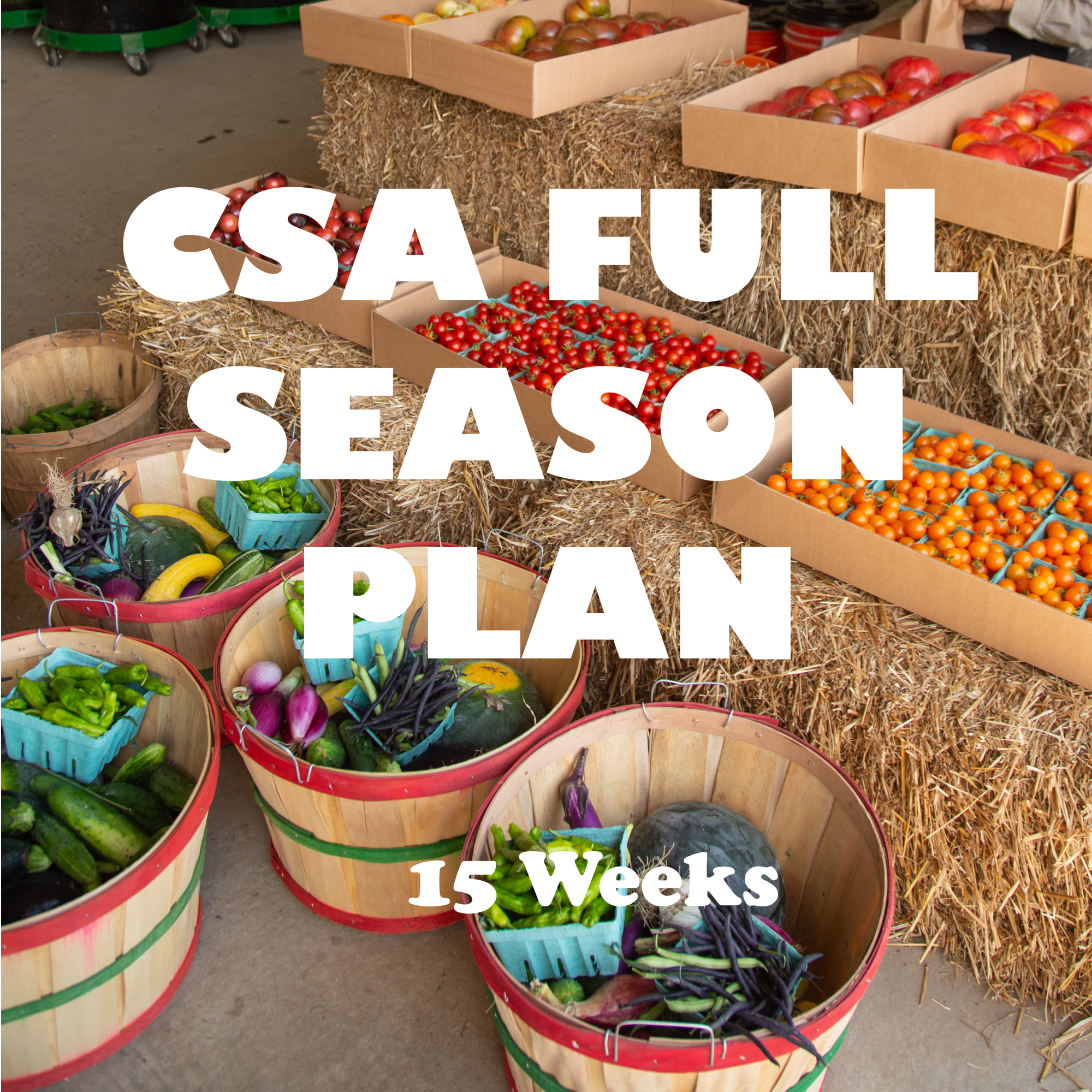 CSA 15 Week Full Season Plan