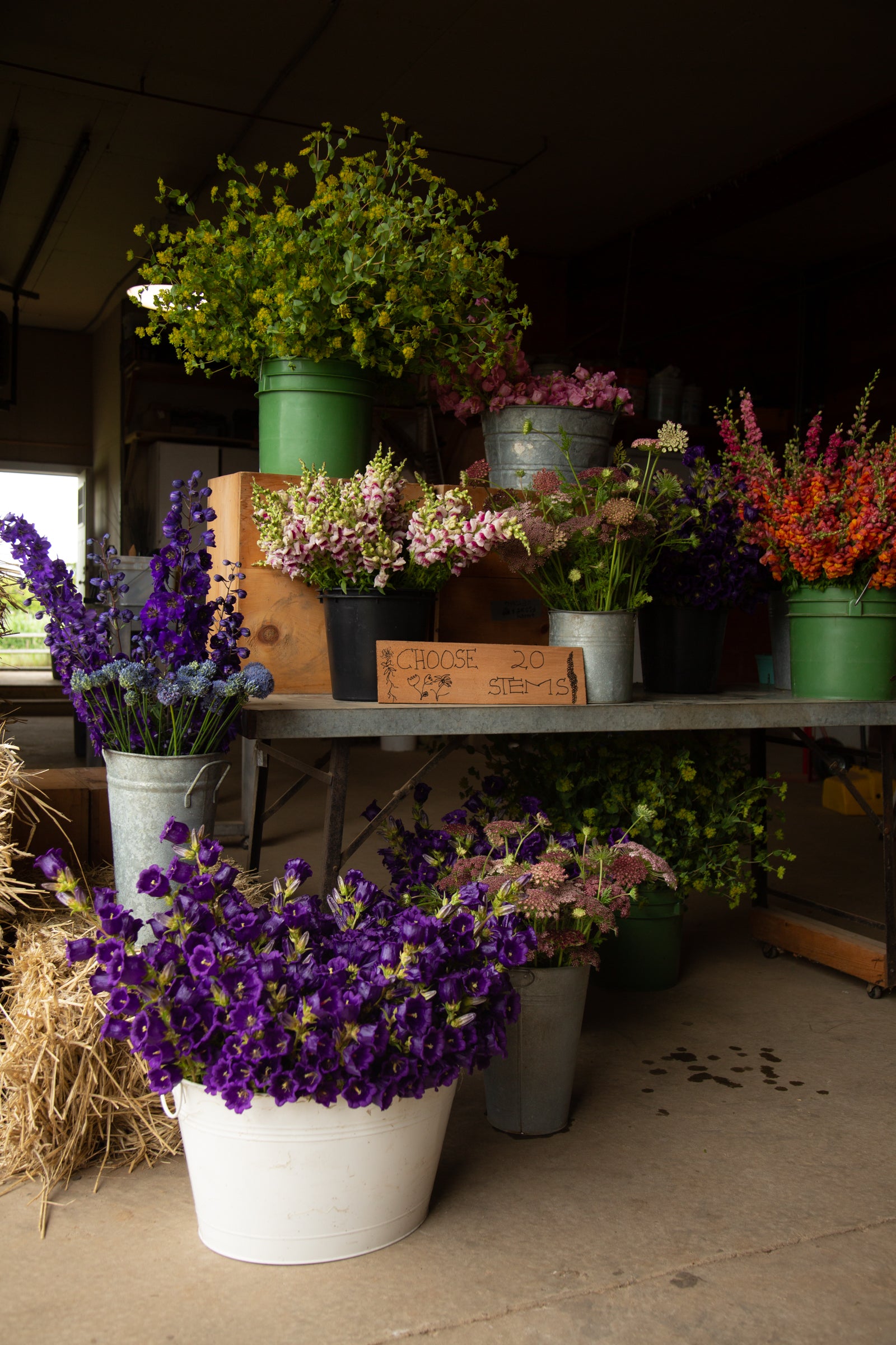 Farm with Flower in the Hamptons, Sagaponack NY