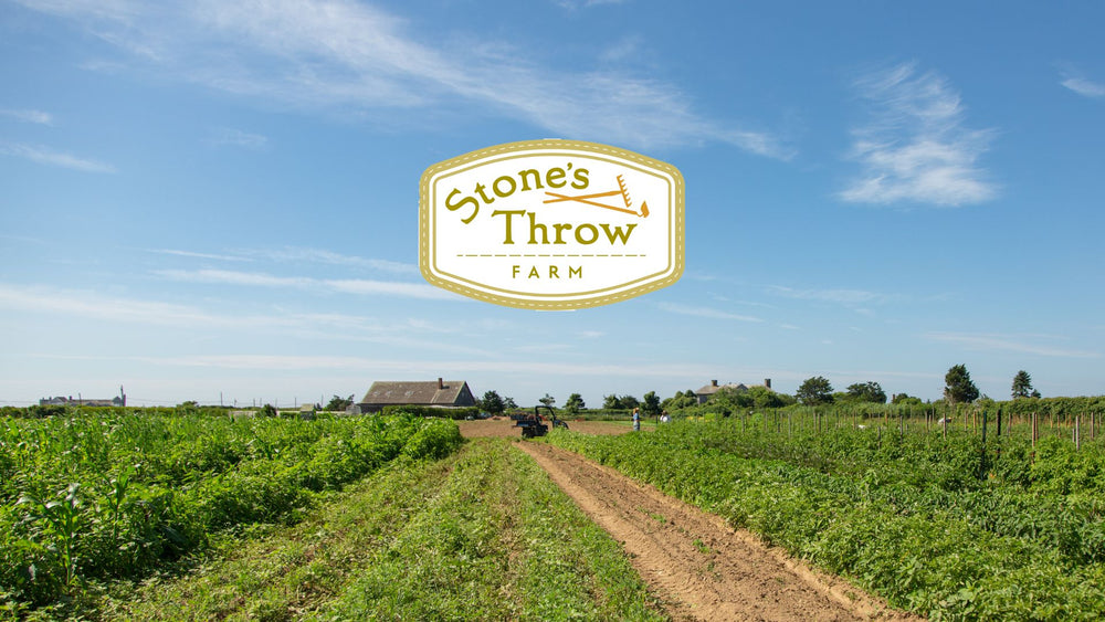 Stone's Throw Farm Sagaponack NY