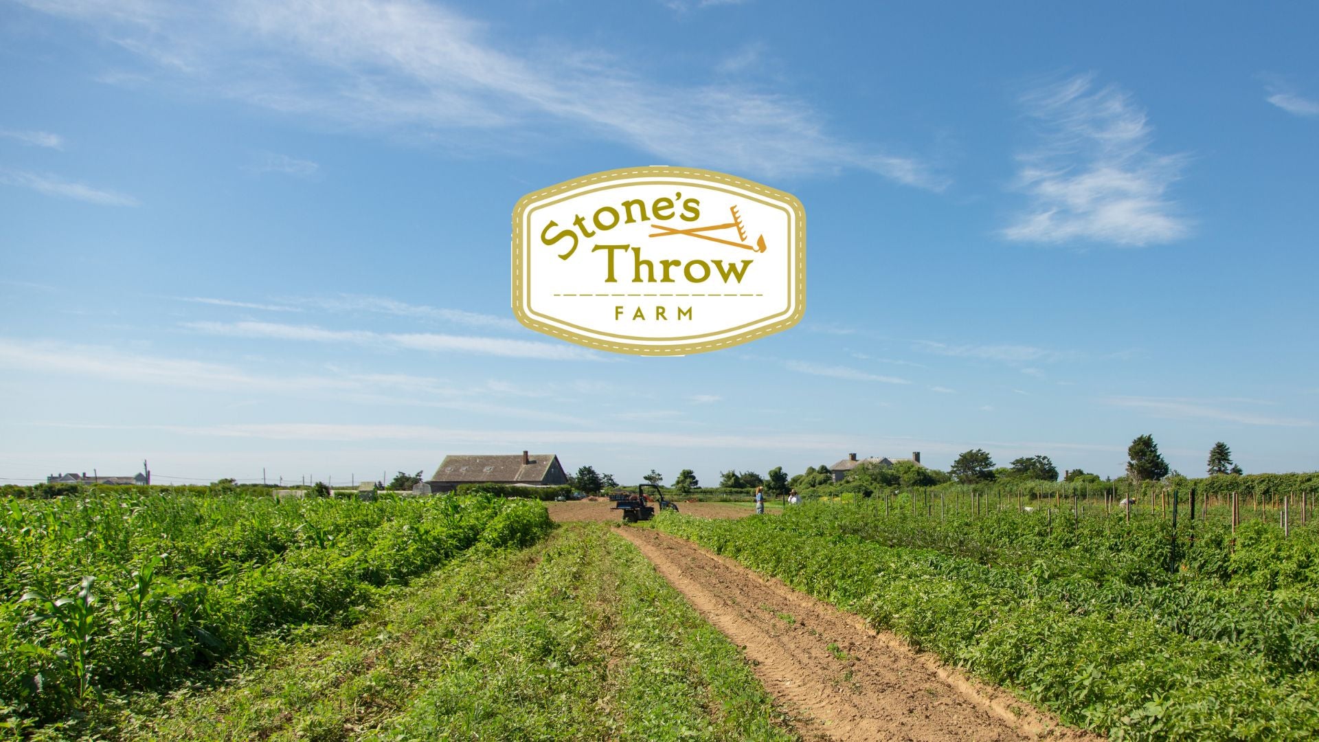 Stone's Thow Farm Sagaponack NY