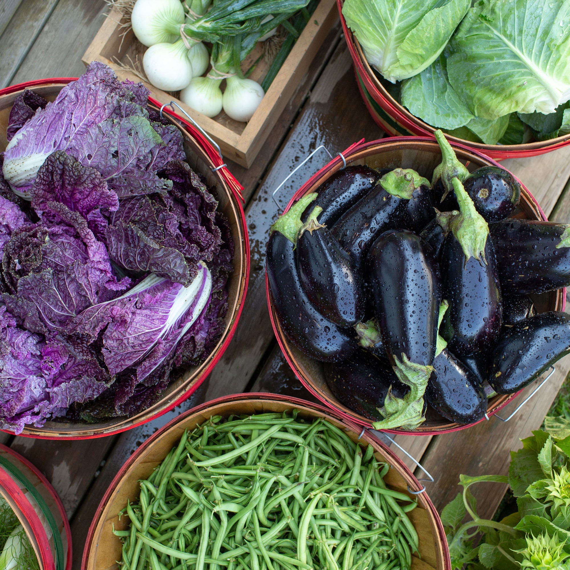 Farm with Produce in the Hamptons